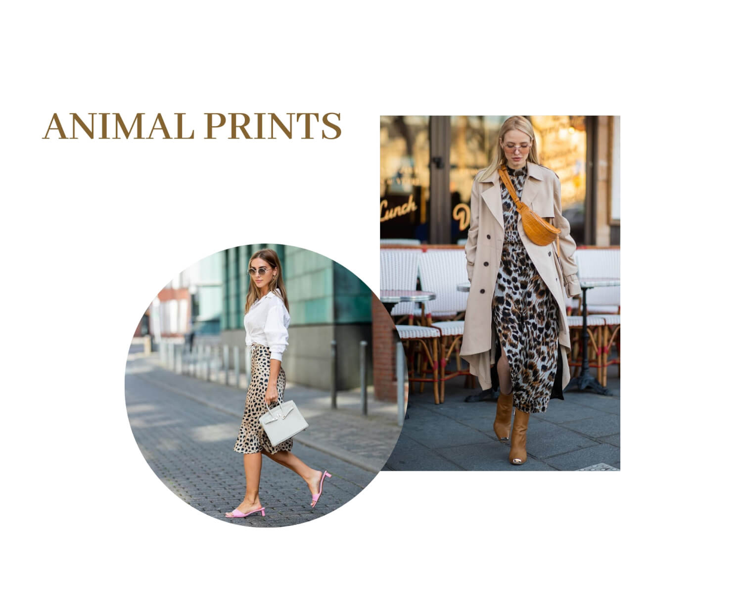 Animal Prints Trend