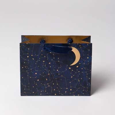 Constellations Landscape Gift Bag