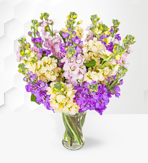 Mixed Stocks - Stocks Bouquet - Flower Delivery - Flowers - Flowers By Post - Send Flowers