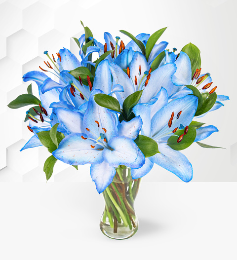 Ocean Lilies - Blue Lilies - Flower Delivery - Flowers By Post - Send Flowers - Next Day Flowers
