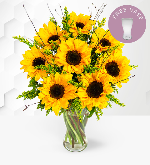 Sensational Sunflowers & FREE Vase