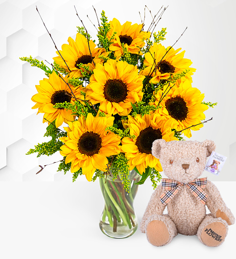 Sensational Sunflowers with Teddy