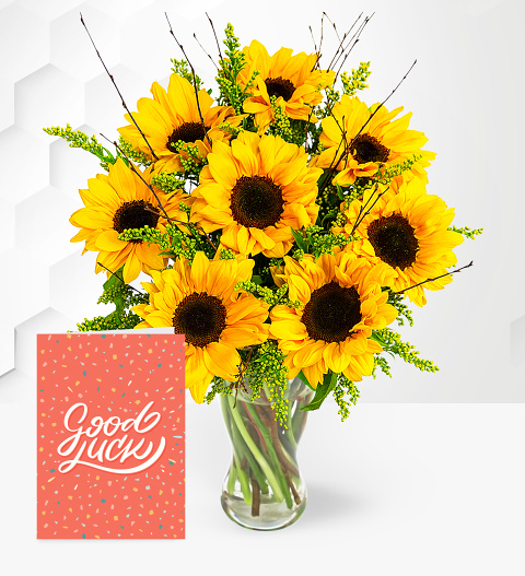 Sensational Sunflowers with Good Luck Card